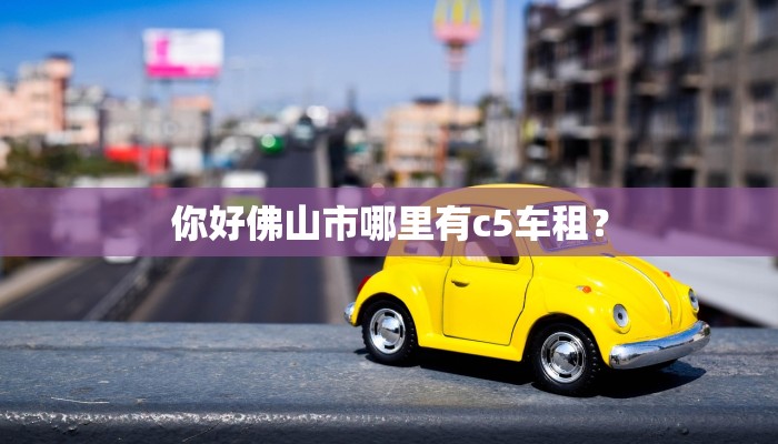 你好佛山市哪里有c5车租？