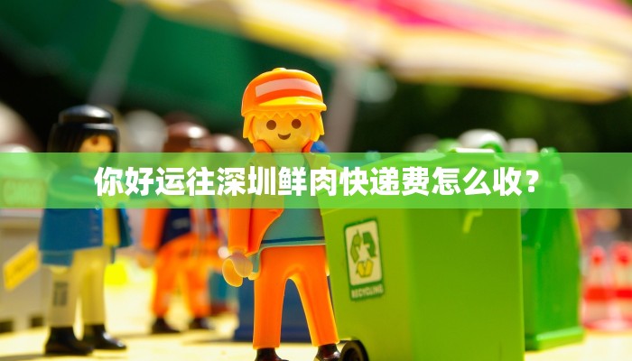 你好运往深圳鲜肉快递费怎么收？