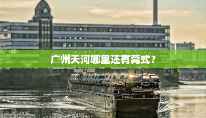 广州天河哪里还有莞式？