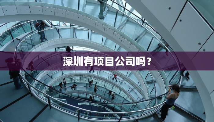 深圳有项目公司吗？