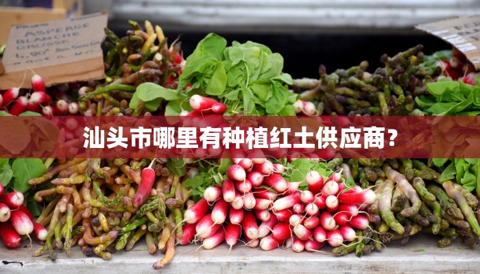 汕头市哪里有种植红土供应商？