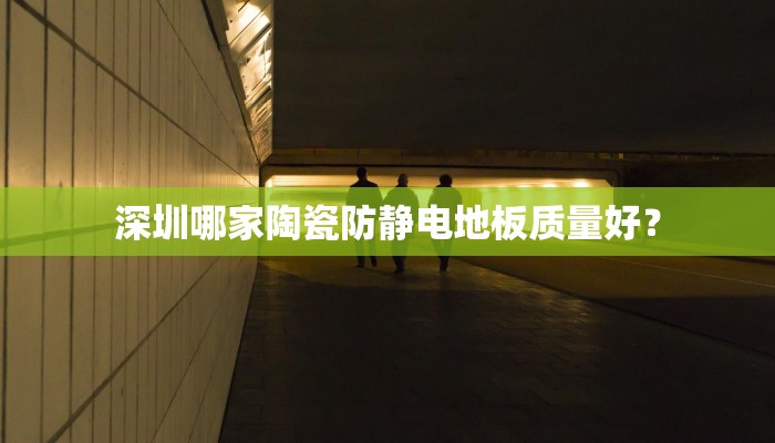 深圳哪家陶瓷防静电地板质量好？