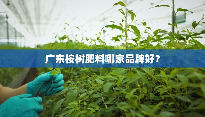 广东桉树肥料哪家品牌好？