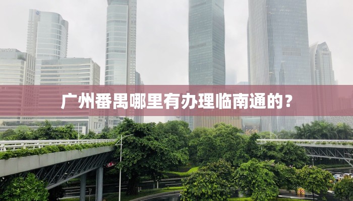 广州番禺哪里有办理临南通的？