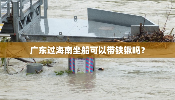 广东过海南坐船可以带铁锹吗？
