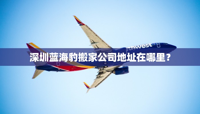 深圳蓝海豹搬家公司地址在哪里？