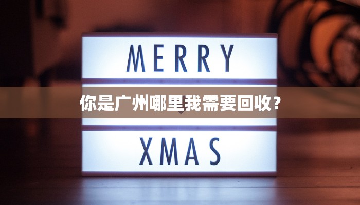 你是广州哪里我需要回收？