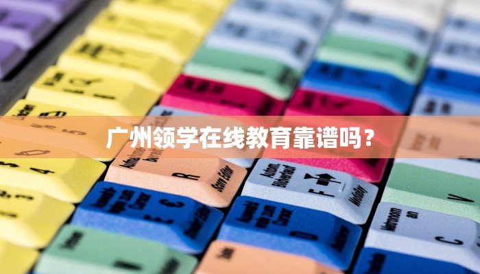 广州领学在线教育靠谱吗？