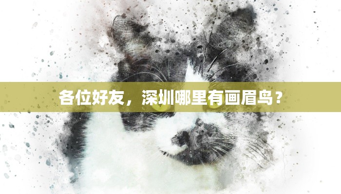 各位好友，深圳哪里有画眉鸟？