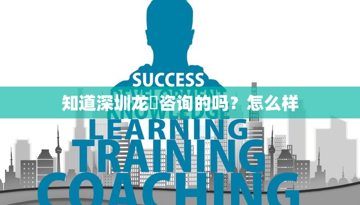 知道深圳龙燊咨询的吗？怎么样