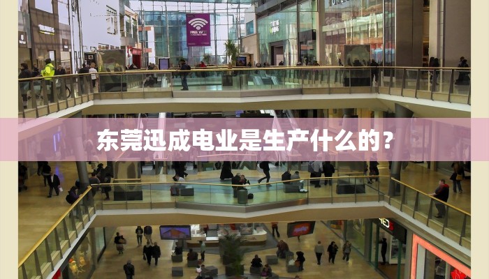 东莞迅成电业是生产什么的？
