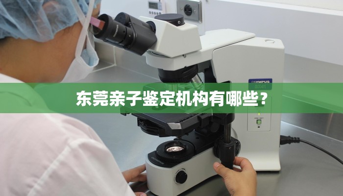 东莞亲子鉴定机构有哪些？