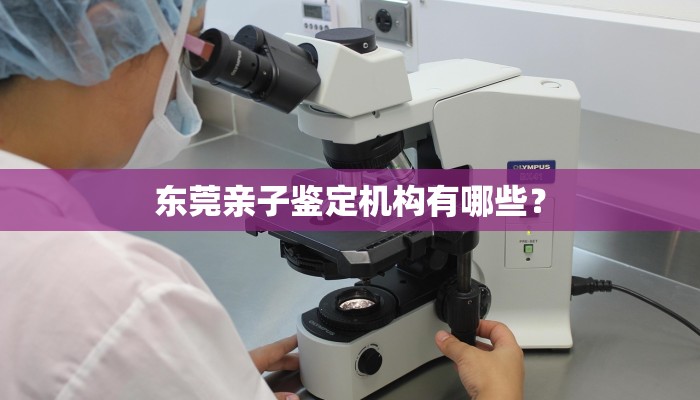 东莞亲子鉴定机构有哪些？