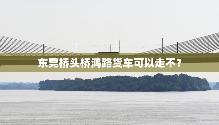 东莞桥头桥鸿路货车可以走不？