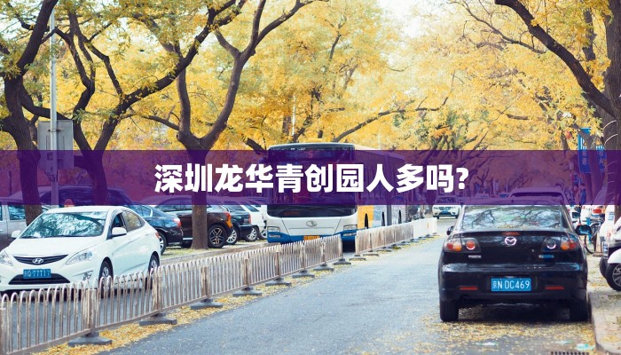 深圳龙华青创园人多吗?