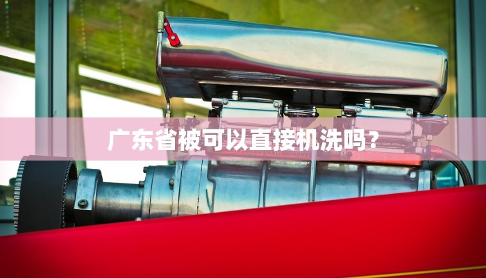 广东省被可以直接机洗吗？