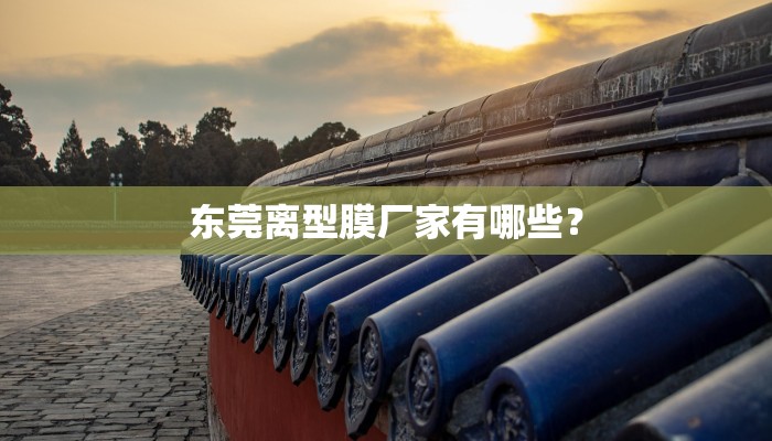 东莞离型膜厂家有哪些？