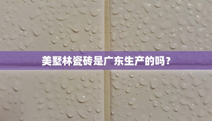 美墅林瓷砖是广东生产的吗？