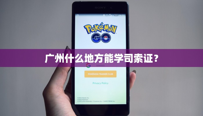 广州什么地方能学司索证？