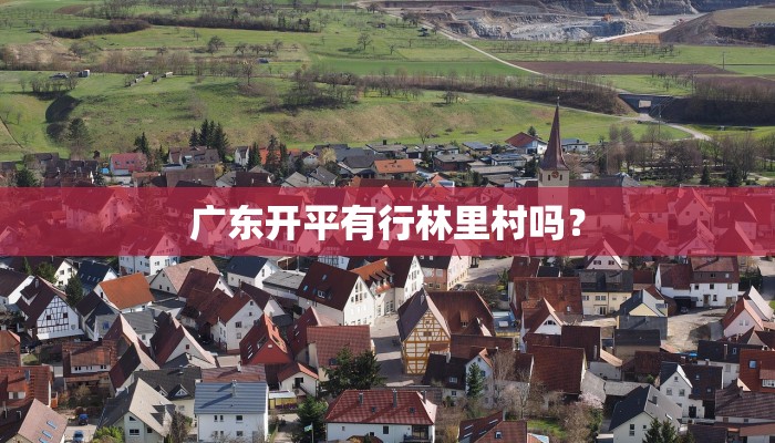 广东开平有行林里村吗？