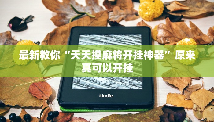 最新教你“天天摸麻将开挂神器”原来真可以开挂