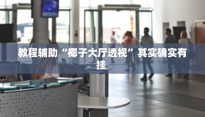 教程辅助“椰子大厅透视”其实确实有挂 