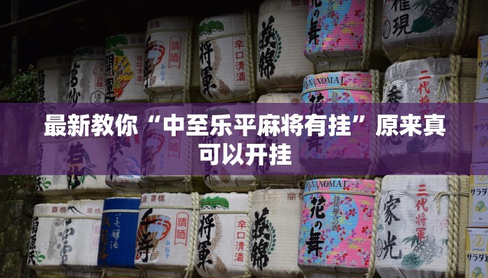 最新教你“中至乐平麻将有挂”原来真可以开挂