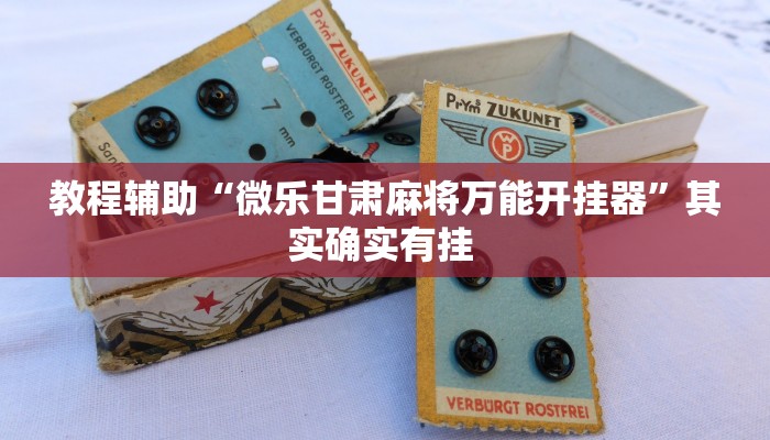 教程辅助“微乐甘肃麻将万能开挂器”其实确实有挂 