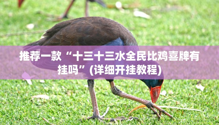 推荐一款“十三十三水全民比鸡喜牌有挂吗”(详细开挂教程)