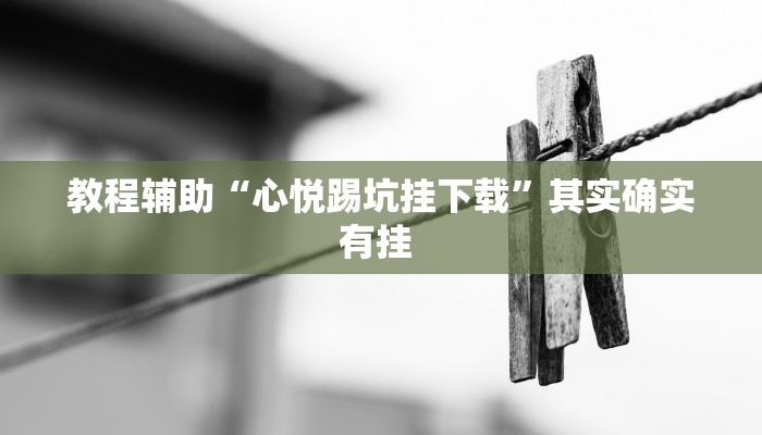 教程辅助“心悦踢坑挂下载”其实确实有挂 