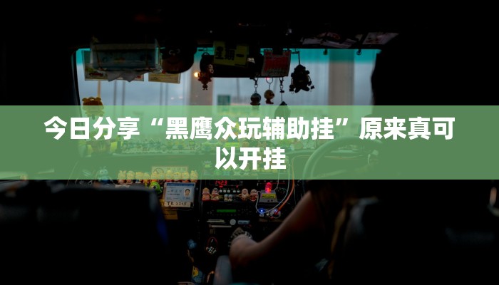 今日分享“黑鹰众玩辅助挂”原来真可以开挂