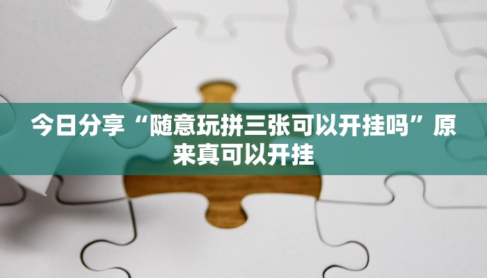 最新教你“趣玩贵州麻将开挂神器”原来真可以开挂