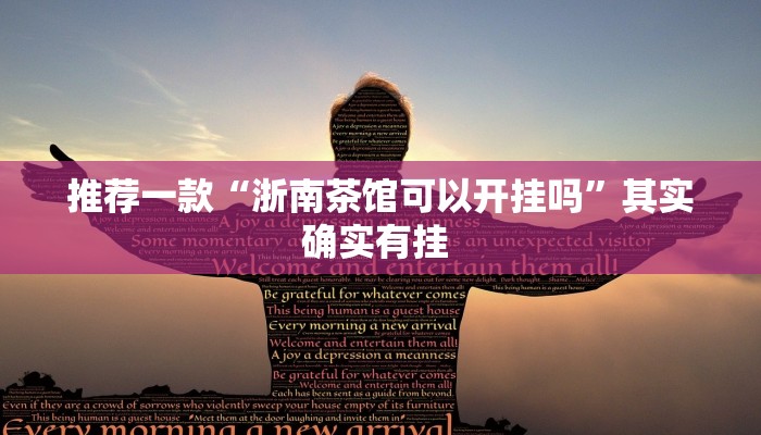 推荐一款“浙南茶馆可以开挂吗”其实确实有挂 