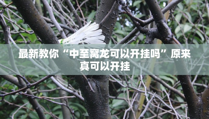 最新教你“中至窝龙可以开挂吗”原来真可以开挂