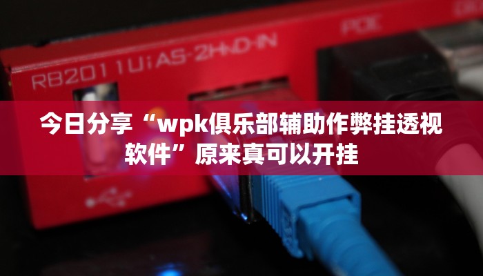 今日分享“wpk俱乐部辅助作弊挂透视软件”原来真可以开挂