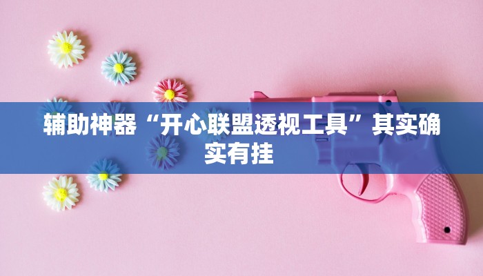 辅助神器“开心联盟透视工具”其实确实有挂 