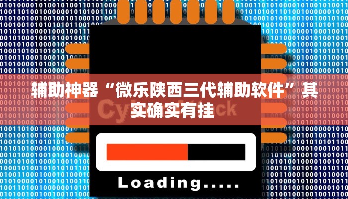 辅助神器“微乐陕西三代辅助软件”其实确实有挂 