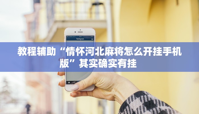教程辅助“情怀河北麻将怎么开挂手机版”其实确实有挂 