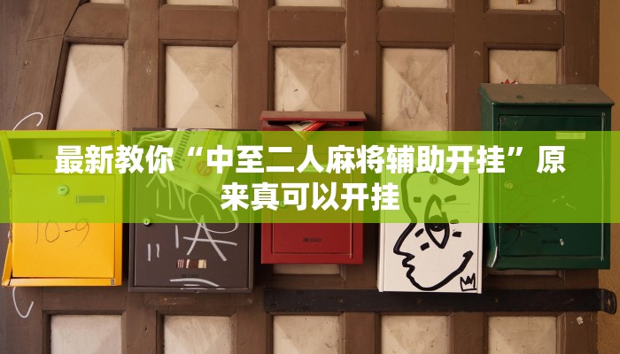最新教你“中至二人麻将辅助开挂”原来真可以开挂
