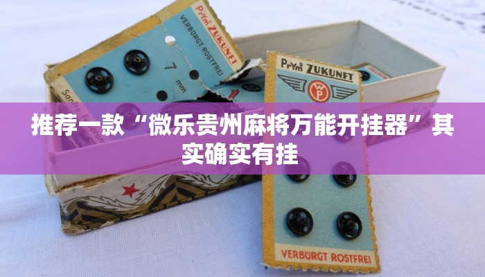 最新教你“畅享新娱辅助器下载”原来真可以开挂