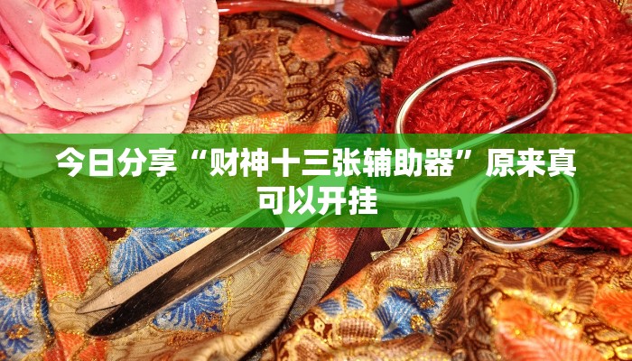 今日分享“财神十三张辅助器”原来真可以开挂