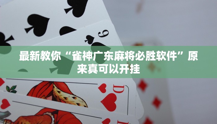 辅助神器“雅苑蕲春麻将怎么开挂呢”(详细开挂教程)