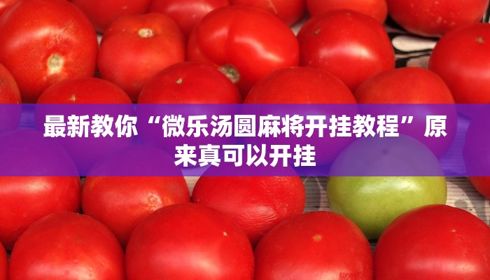 最新教你“微乐汤圆麻将开挂教程”原来真可以开挂