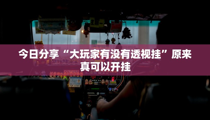 今日分享“大玩家有没有透视挂”原来真可以开挂