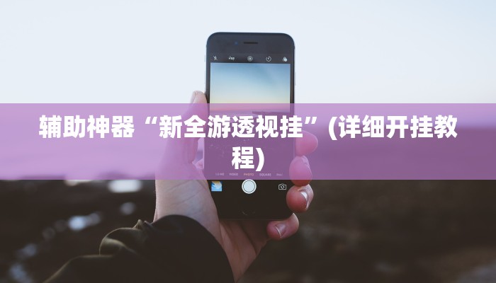 辅助神器“新全游透视挂”(详细开挂教程)