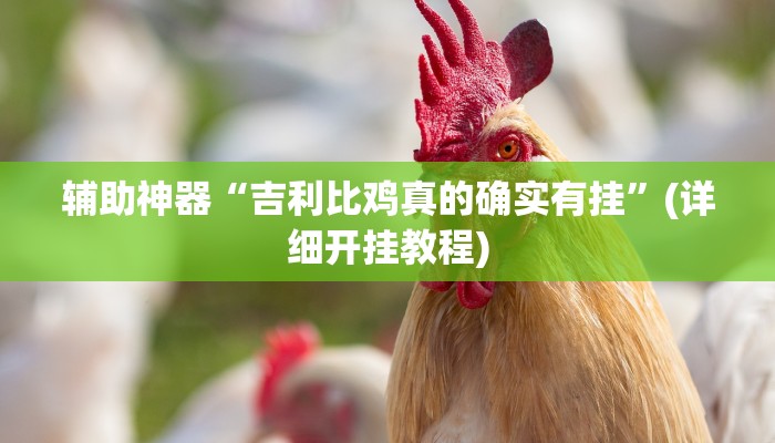 辅助神器“吉利比鸡真的确实有挂”(详细开挂教程)