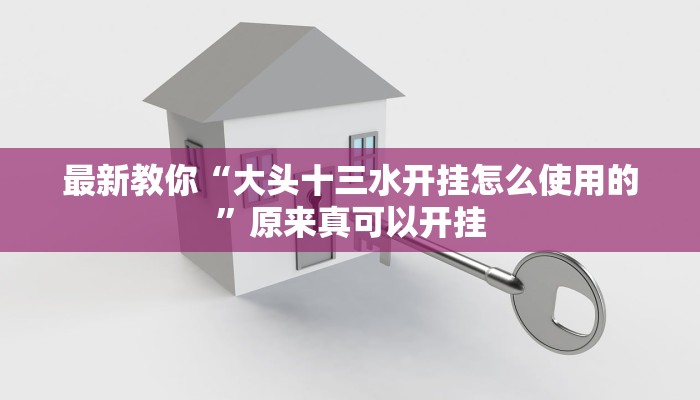 最新教你“大头十三水开挂怎么使用的”原来真可以开挂