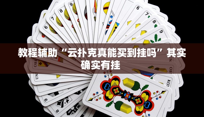 教程辅助“云扑克真能买到挂吗”其实确实有挂 