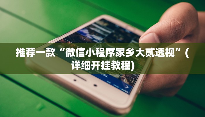 推荐一款“微信小程序家乡大贰透视”(详细开挂教程)
