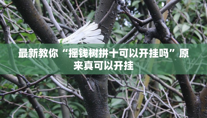 最新教你“摇钱树拼十可以开挂吗”原来真可以开挂